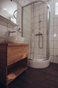 a bathroom with a sink and a shower at Seasons apartmani in Osijek