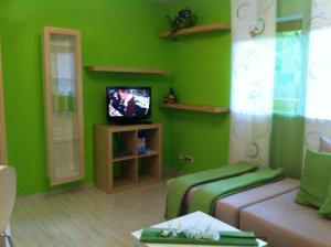 un soggiorno verde con divano e TV di A Little Home a Rust