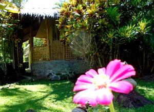 Taman di luar Nypa Style Resort Camiguin
