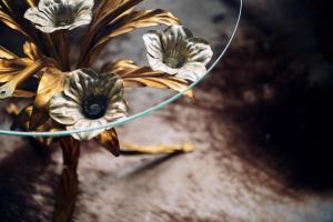 Fotografie z fotogalerie ubytování Prinsenhof v destinaci Groningen