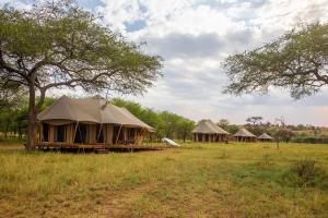 eine Reihe von Zelten auf einem Feld mit Bäumen in der Unterkunft Cherero Camp in Serengeti-Savanne