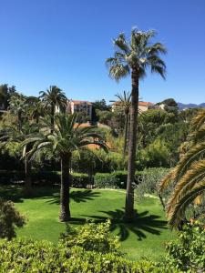 two palm trees in a park with green grass at Très beau T2 dans parc montfleury ,proche centre ,au calme 44 bd Montfleury in Cannes