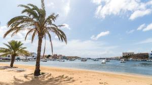 two palm trees on a beach with boats in the water at Italianway - Ottoventi Apartments in Lampedusa