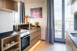 Il comprend une cuisine équipée d'un évier et d'une cuisinière. dans l'établissement Downtown Apartments Mitte, à Berlin