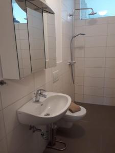a bathroom with a sink and a toilet and a mirror at FerienRemise in Brandenburg an der Havel