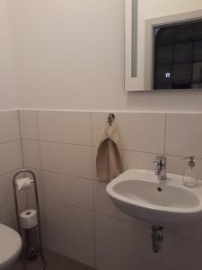 a white bathroom with a sink and a mirror at FerienRemise in Brandenburg an der Havel