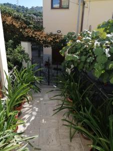 Zahrada ubytování Hotel La Primavera