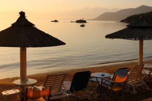 a group of chairs and umbrellas on a beach at Theoxenia in Pteleós