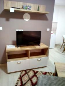 Sjónvarps- og/eða afþreyingartæki á Divcibare apartmani Gavrić