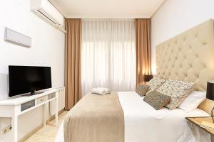 TV a/nebo společenská místnost v ubytování LEEWAYS LOFT XVI in GRAN VÍA