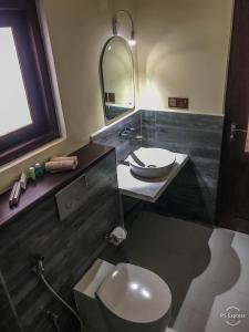 uma casa de banho com um lavatório, um WC e um espelho. em Lankapura Heritage em Sigiriya