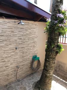 a tree and a green chair next to a wall at Recanto Lorenzi - Apartamentos in Ubatuba