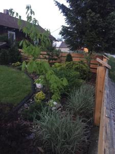 Gallery image of Wypoczynek na wsi Pod Akacją in Oksa