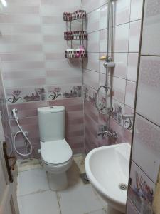 a bathroom with a toilet and a sink at Otasho Nile view house in Aswan