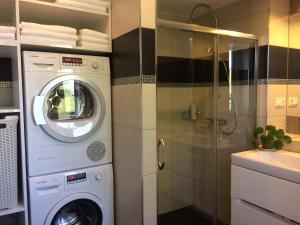 - pralkę i suszarkę w łazience z prysznicem w obiekcie City Centre Apartment Liptovsky Mikulas w Liptowskim Mikulaszu