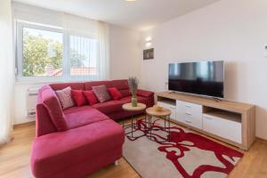 TV a/nebo společenská místnost v ubytování Apartment House Ivan John