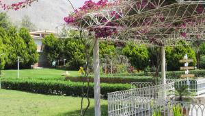 Gallery image of Guizado Portillo Hacienda & Resort in Lunahuaná