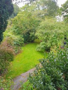 un jardín con césped verde, árboles y arbustos en Tracebridge Cottage B&B, en Stawley
