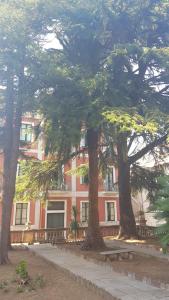 The building in which a panziókat is located