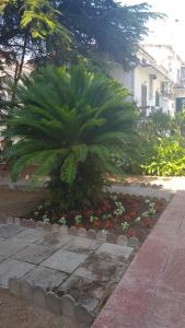A garden outside B&B IL CEDRO