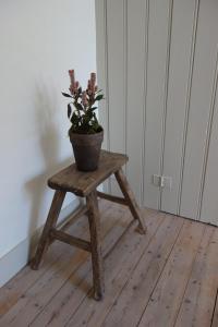 a potted plant sitting on a wooden table at Studio Minerva in Antwerp