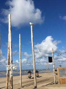 a beach with trees on the sand and the ocean at ZeeBedStay in Noordwijk aan Zee
