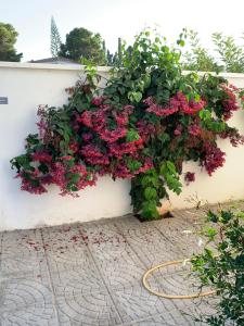 Zahrada ubytování Maison Alriad - Alojamiento familiar tranquilo cerca del mar con jardín, porche y parking privado en el interior de la finca no apto para fiestas