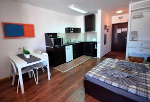 Kuchyň nebo kuchyňský kout v ubytování Apartman u kompleksu Royal Towers