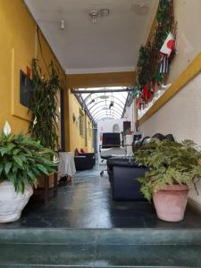 uma sala de estar com vasos de plantas nas paredes em Hospedaria Cambuci Unidade Ipiranga em São Paulo