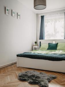 a bedroom with a bed with a green blanket and a window at Business and Travel Central Apartment in Timişoara