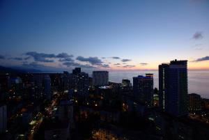 uma vista para o horizonte da cidade à noite em Banana Apartments em Batumi