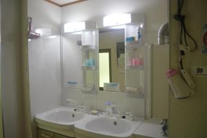 a bathroom with a sink and a large mirror at Drive Inn Keigetsu in Towada
