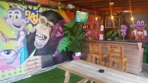Foto sihtkohas Medellín asuva majutusasutuse Purple Monkey Hostel galeriist