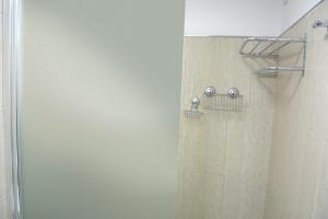 een douche in een badkamer met een glazen deur bij Petit Apart Villa Regina in Villa Regina