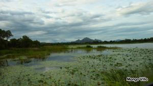 Paesaggio naturale nelle vicinanze della stanza in casa privata