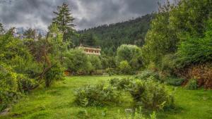 Φωτογραφία από το άλμπουμ του The Wild Trails by Livingstone σε Kalpa