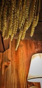 Fotografie z fotogalerie ubytování Hotel Wellness Goldenes Fass Meißen v destinaci Meißen