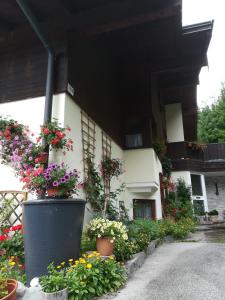 Zahrada ubytování Haus Bergliebe