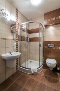 a bathroom with a shower and a sink and a toilet at Chata Walichnowska in Sokolniki