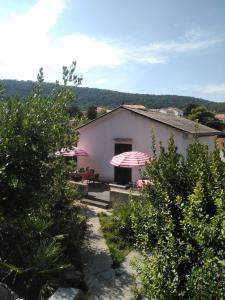 Fotografia z galérie ubytovania Apartman Rovenska Seaview vo Veli Lošinj