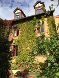 a building covered in ivy with a bench in front at Ferienwohnung Huttenstraße Halle in Halle an der Saale