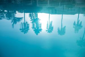 a reflection of trees in a pool of water at Fuentepark Apartamentos in Corralejo