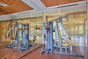 Fitness centrum a/nebo fitness zařízení v ubytování Millennium Resort Wuyishan