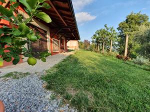 Vonkajšia záhrada v ubytovaní Agriturismo Podere Nigriano