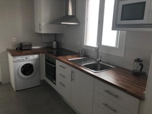 cocina con fregadero y lavadora en Málaga Apartamentos - Jinetes, 10, en Málaga
