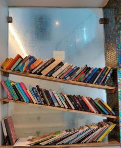 阿格拉的住宿－雷瑪雅酒店，书架上放着一束书