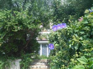 Zahrada ubytování La Vignaredda - Residenza di Charme