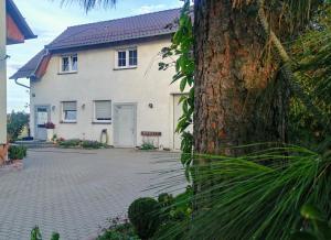 Una casa blanca con un árbol delante. en Lawendowa Galeria, en Krapkowice