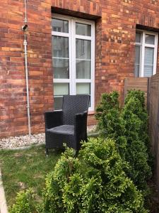 Ogród w obiekcie Apartament 100 Apartamenty No 1 Ogród w Centrum