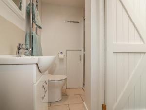 een witte badkamer met een toilet en een wastafel bij Kittiwake in Plymouth